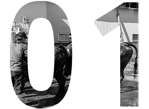 01